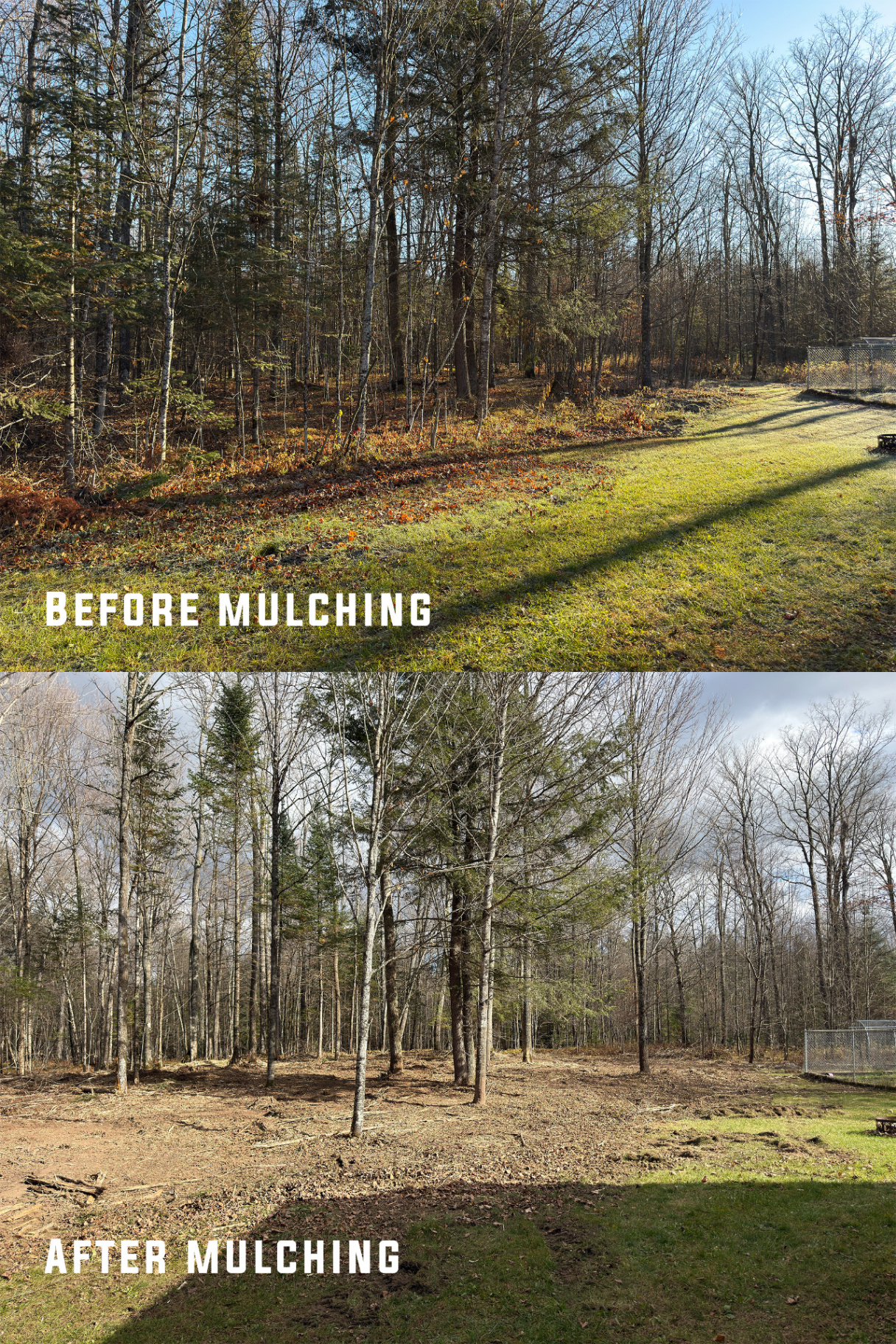 Before and after brush clearing near Crivitz, Wisconsin
