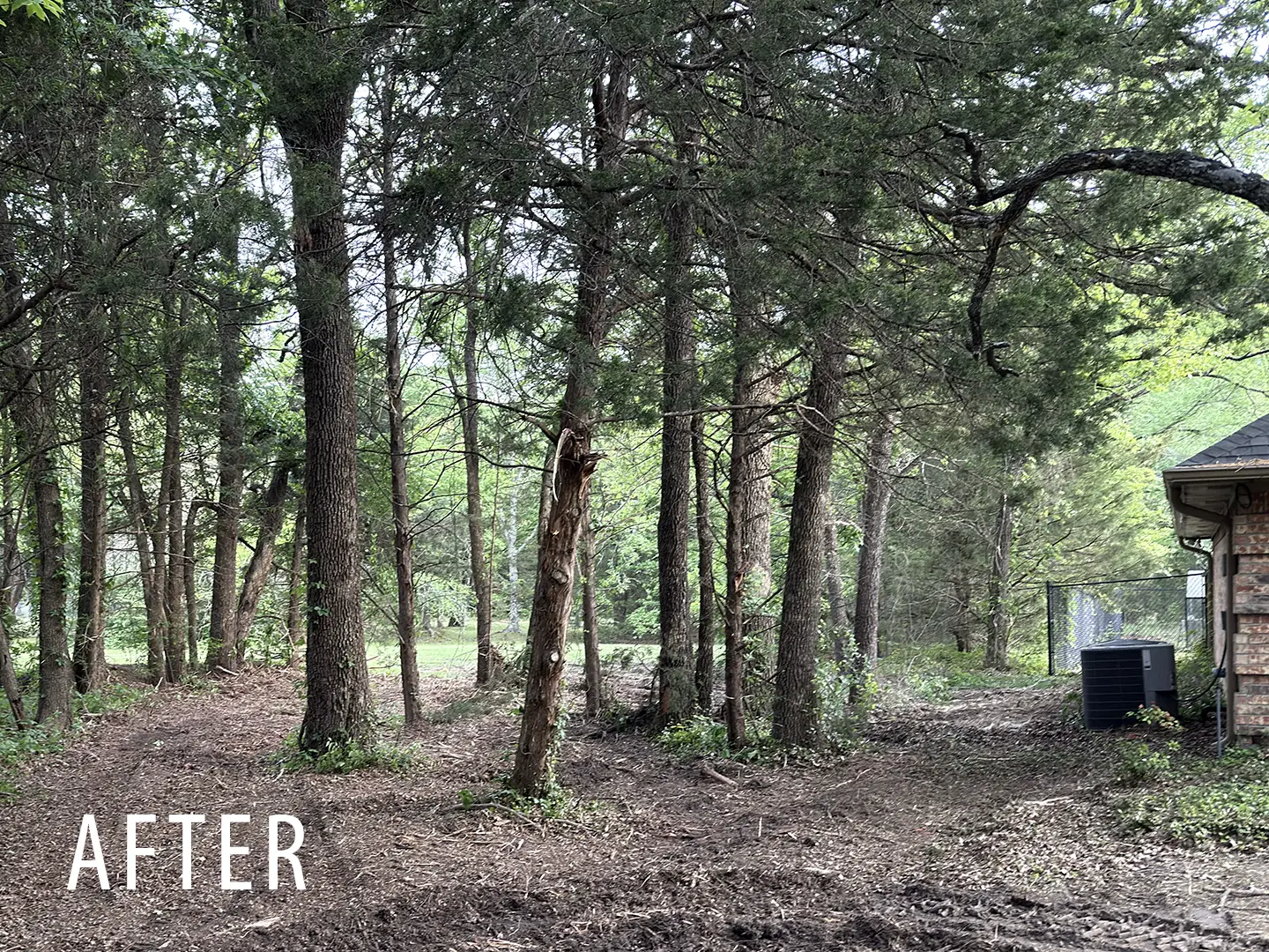 Residential acreage underbrush after forestry mulching