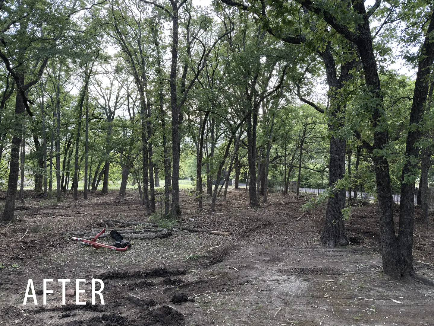 Rural acreage after understory cleanup